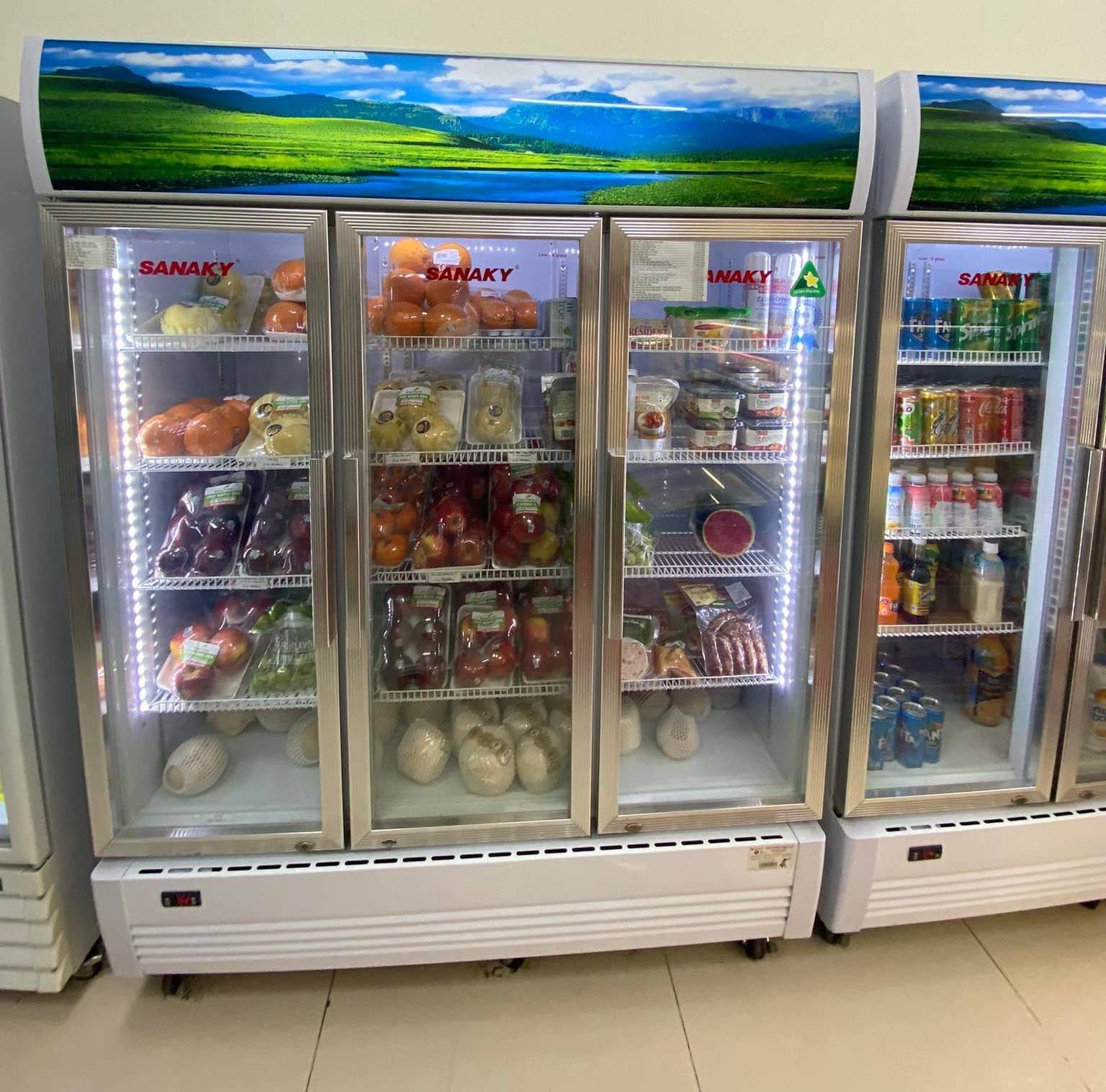Sửa tủ mát Sanaky